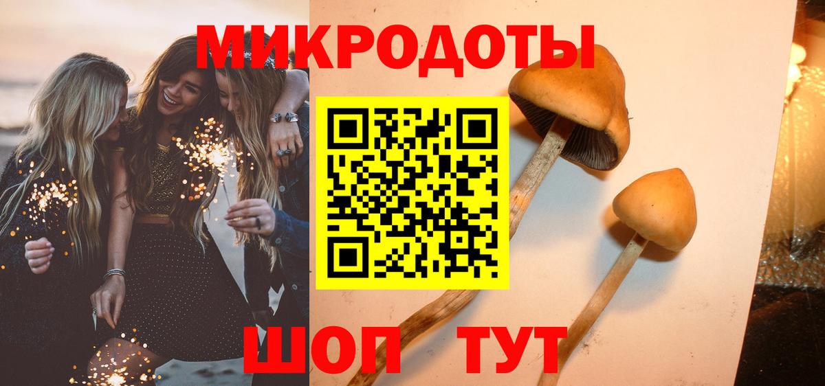 Псилоцибиновые грибы Psilocybine cubensis  Вход с VPN  Грозный 