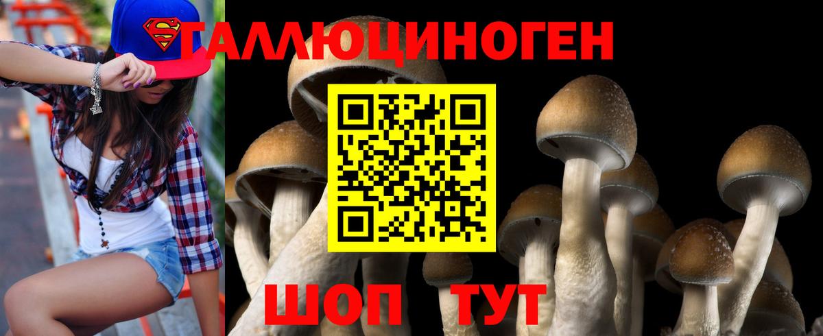 Псилоцибиновые грибы GOLDEN TEACHER Грозный