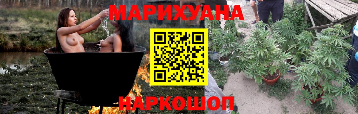 Конопля OG Kush Грозный